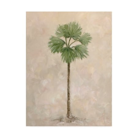 TRADEMARK FINE ART Debra Lake 'Palm Tree 3' Canvas Art, 14x19 ALI47157-C1419GG